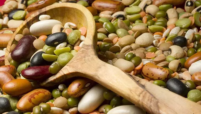 Выбор фасоли при гастрите