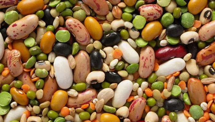 Свежая фасоль