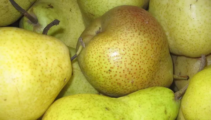 Сырые груши Сырые груши