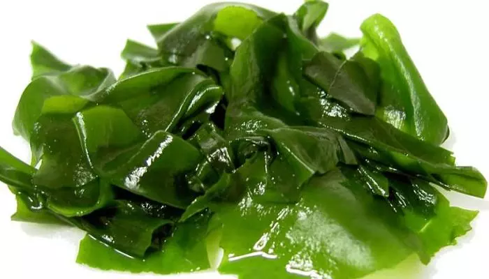 Морская капуста Морская капуста