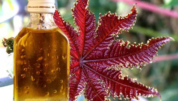 Касторовое масло Касторовое масло