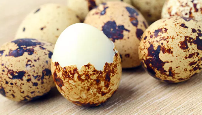 Перепелиные яйца Перепелиные яйца